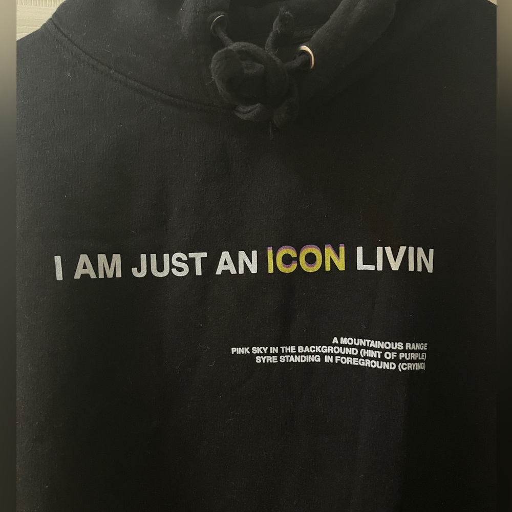 Jaden Smith / MSFTSrep SYRE Icon Hoodie Unisex Size Large